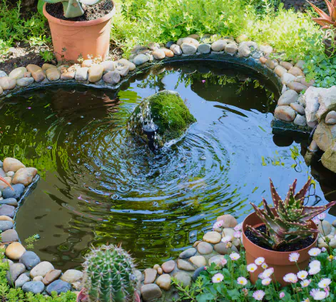 garden pond with mini fountain
